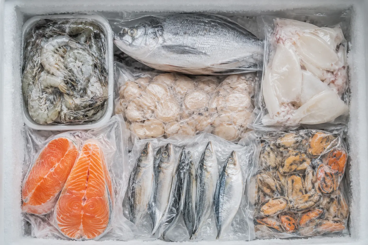 Seafood Frozen